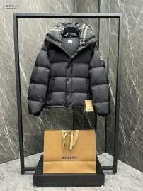Picture of Burberry Down Jackets _SKUBurberryS-2XL26yr13537986